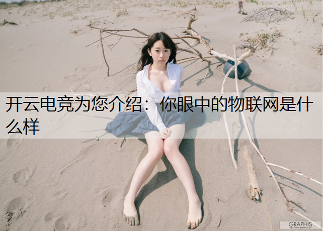 开云电竞为您介绍：你眼中的物联网是什么样