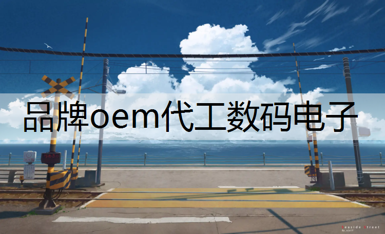 品牌oem代工数码电子