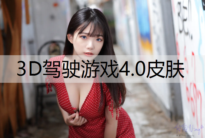 3D驾驶游戏4.0皮肤