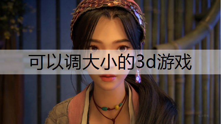可以调大小的3d游戏