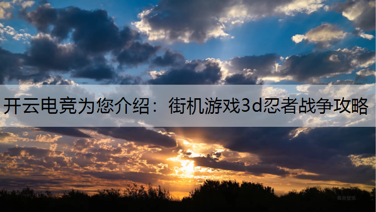 街机游戏3d忍者战争攻略