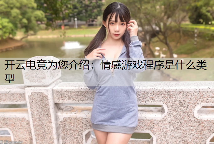 情感游戏程序是什么类型