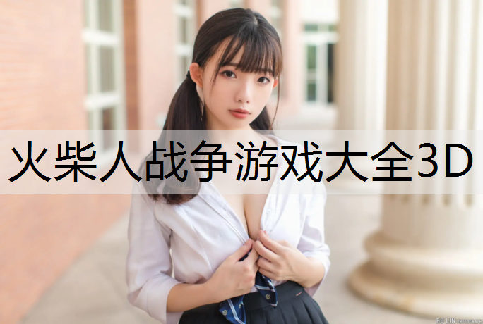 火柴人战争游戏大全3D
